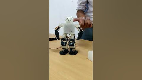 3D Printed Humanoid Robot developed by UEM Jaipur students