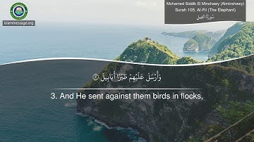 سورة 105. الفيل (ترجمة باللغة الإنجليزية) | محمد صديق المنشاوي