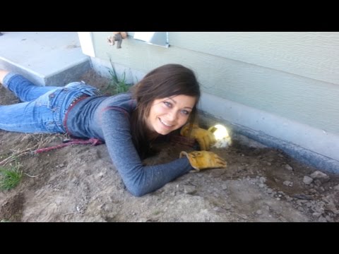 Wie Rid von Schlangen Get - (Finding Snake Einstiege) # 1