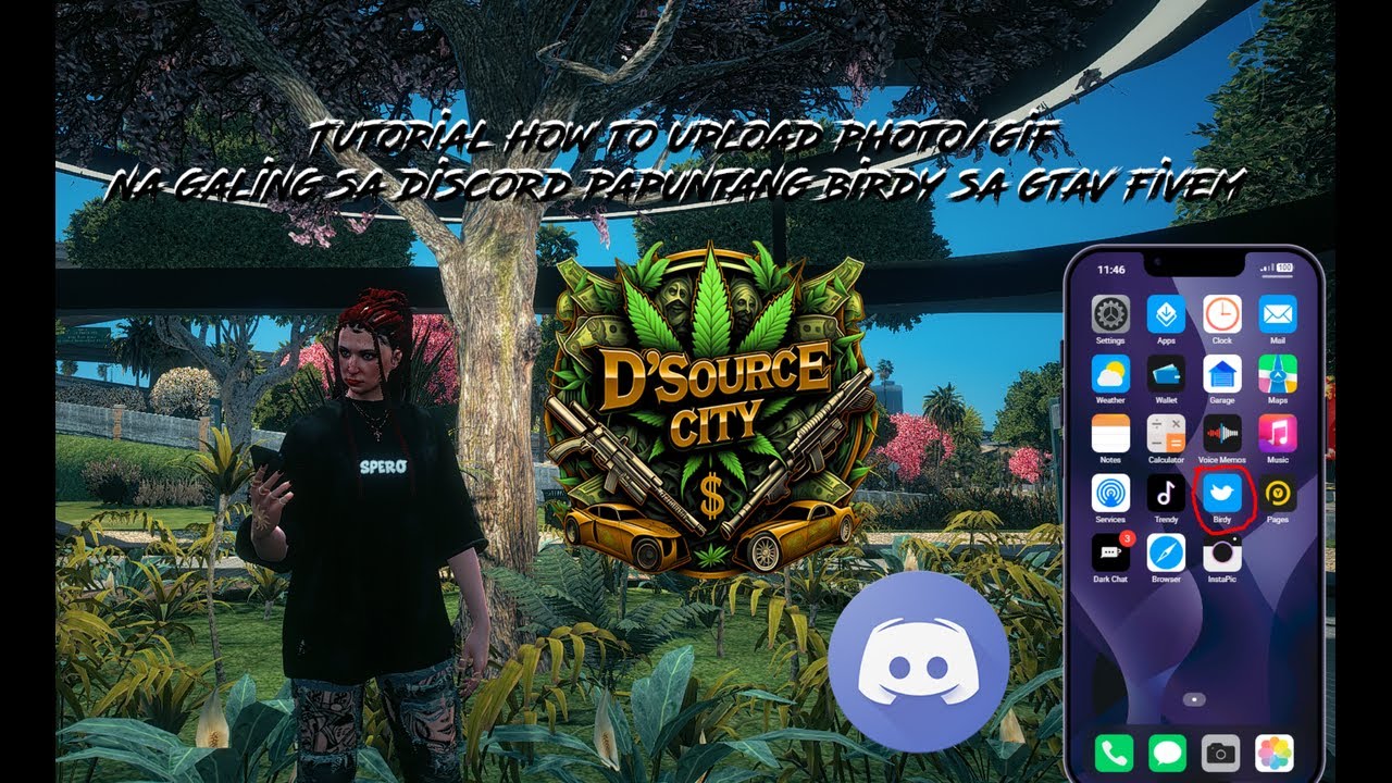 Quick tutorial How to Upload Photo/gif to Birdy (Tweeter) of DSOURCE FIVEM