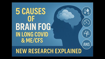 5 Causes of Brain Fog in Long Covid & ME/CFS (New Research Explained)