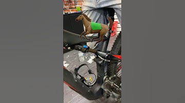 Nó Đã😱 #xedaptanphu #xedapthethao #cycling #road #xedap #xedapdua #fixedgear #leduc #xedapsaigon