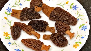 Most expensive Mushrooms of the world | Kasher Gich (Morel Mushroom)| special video of this season.