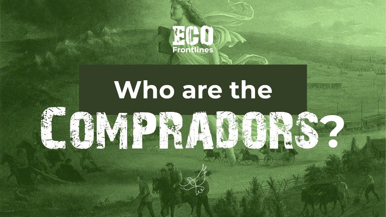 Who Are the Compradors?