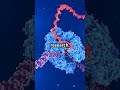 Sciencefather | Unlock the Secrets of Protein DNA |#sciencefather #DNA #SeniorScientist,#Best Award