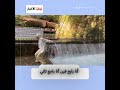 انا رايح فين أنا راجع تاني
