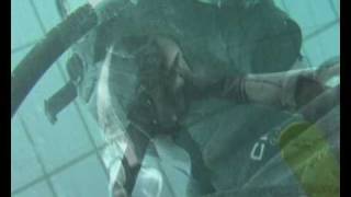 Susirubber In A Special Full Face Mask. Part Ii