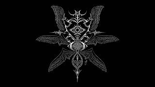 Light & Life Force