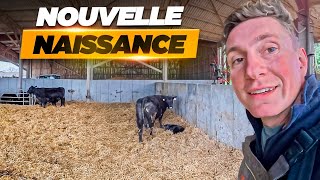 NOUVELLE NAISSANCE ET SEMIS HERBE !