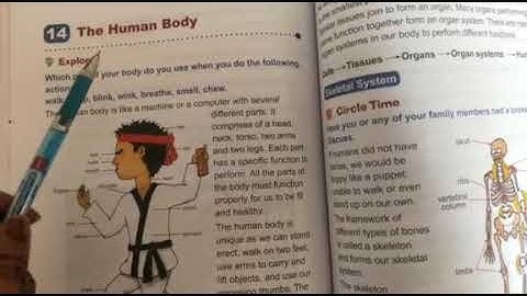 Class-3 |Subject EVS |Chapter-14 |The Human Body| Part-1