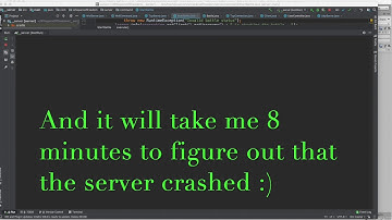 WOF #8 | UDP Client in C# and Join Battle functionality