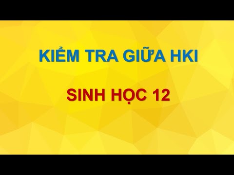 Video KIỂM TRA GIỮA HỌC KÌ 1 - SINH HỌC 12 - youtube