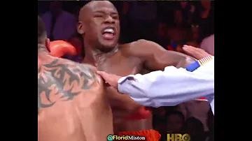 Brutal Revenge of Floyd Mayweather