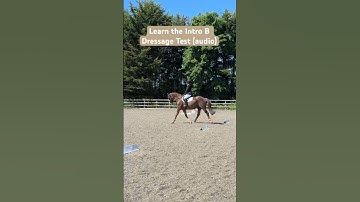 Learn the Intro B Dressage Test (Audio). 68.6% test #dressage