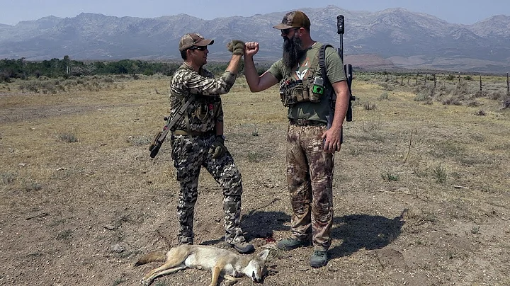 Coyote Hunting is Fun!