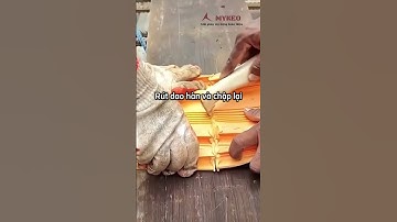 Hàn băng cản nước PVC chống thấm mạch ngừng bê tông