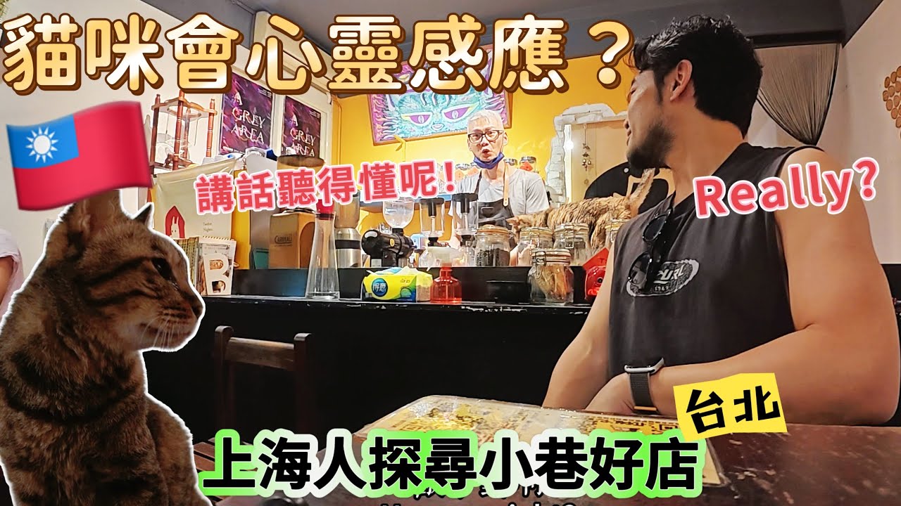 🇹🇼 上海人探尋藏在台北小巷裡的有趣小店，UNI CAFE貓咪會心靈感應？！～它居然能聽懂我說什麼！（會員影片槍先看）