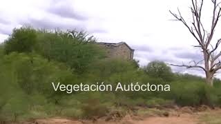 Campo en General Ocampo - La Rioja