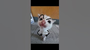 send to your best friend 😆