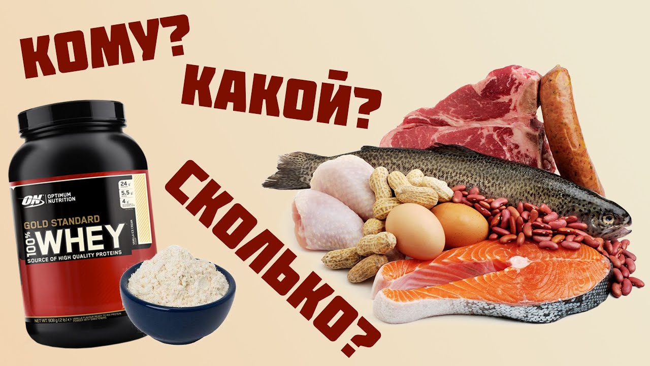 Протеин. Сколько тебе нужно белка? - YouTube