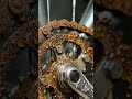 Rusty Bicycle Chain Restoration in Seconds!