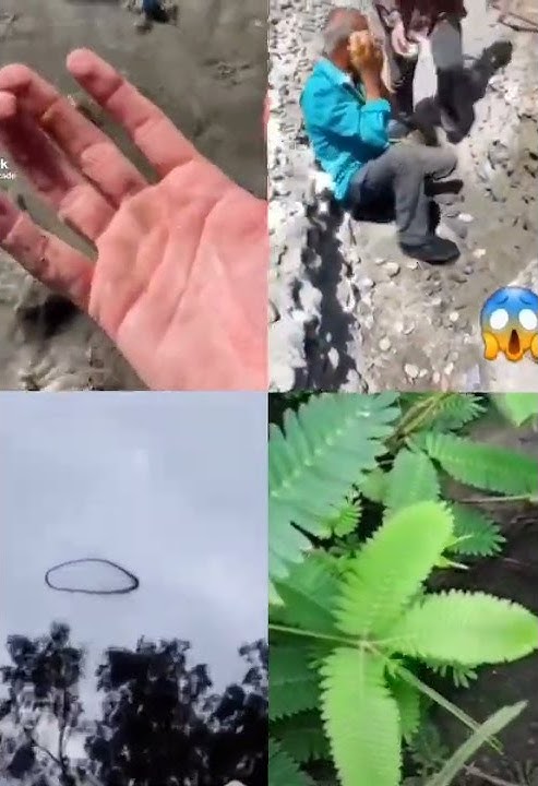 Dikkatli Bak 100 😱🥶😳 #shorts