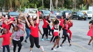 Break the Chain - ONE BILLION RISING - British Virgin Islands - 2013