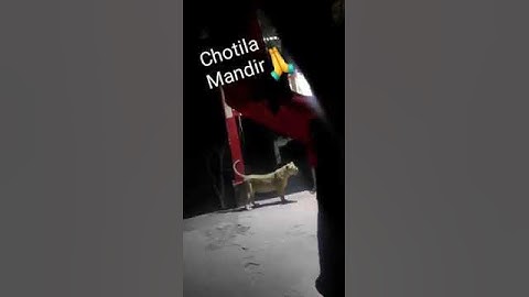 Chotila Chamunda Mata Mandir l Sinh l Jay Chamunda ma