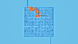 Fluid Fun: Can Orange Liquid Solve the Maze