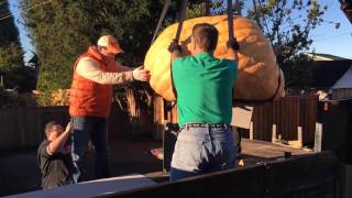 Moving a Giant Pumpkin
