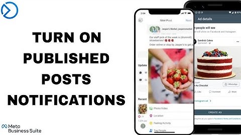 How To Turn On Published Posts Notifications On Meta Business Suite App