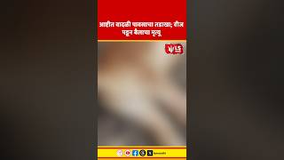Jalana Heavy Rain &amp; Lightning Strike | आष्टीत वादळी पावसाचा तडाखा; वीज पडून बैलाचा गेला जीव