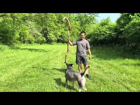 Video Chiến Lợi Phẩm 1/6/2025 của Roxie - youtube