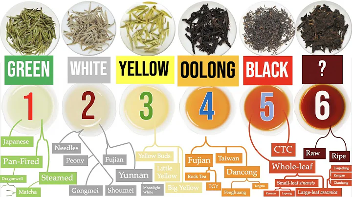 Discover the 6 Tea Types and a WORLD of Awesome Tea Sub-Types | Masterclass on Tea Ch. 1 of 8 - DayDayNews