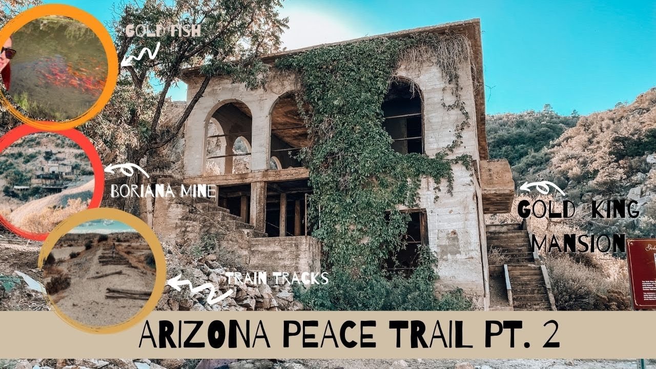 AZPT часть 2 из 3 