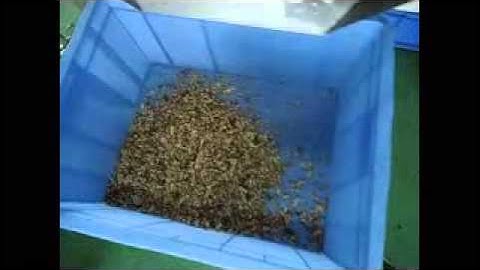 Color Sorting Machine for walnut kernel Email howard.angelon@gmail.com