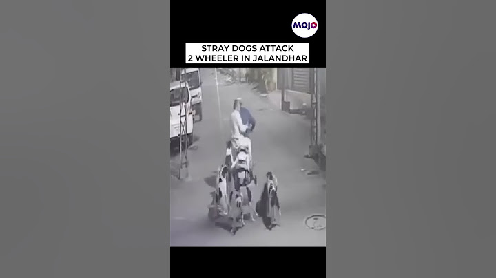 2 Men Attacked By Stray Dogs In Jalandhar Street #shorts #viral
