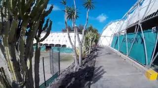 Urlaubsvideo Robinson Club Esquinzo Playa Fuerteventura 