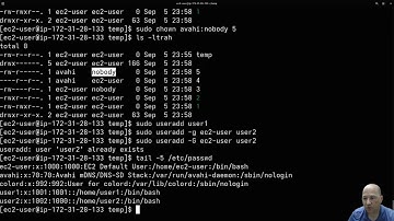 2025 Linux Admin - Starting with user and group permissions