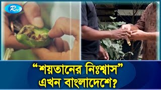 সবচেয়ে ভ য়ং ক র ড্রা গ 