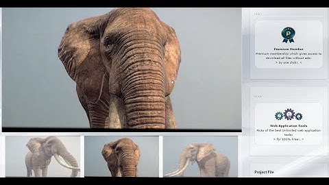 Free Elephant 3D Model with Texture