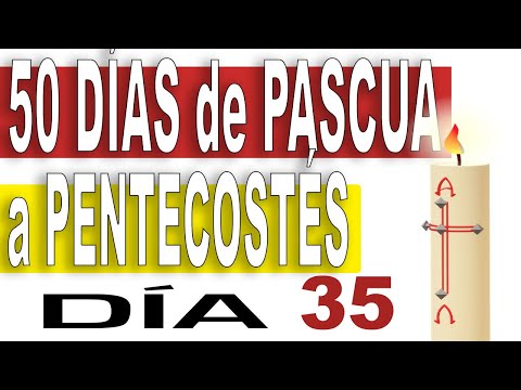 ✴️Día 35 | 50 Días de CAMINO de PASCUA A PENTECOSTÉS 🔥 OS PERSEGUIRÁN por mi CAUSA