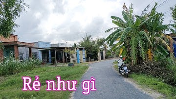 Rẻ như gì 496m2 muốn nửa sào nằm trên đường nhựa 1 nơi ai cũng thích quá đẹp ở Tiên Thuận Bến Cầu TN