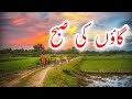 Beautiful morning of the village | Village dealy rotine | گاوں کی خوبصورت صبح | Village  Tv.