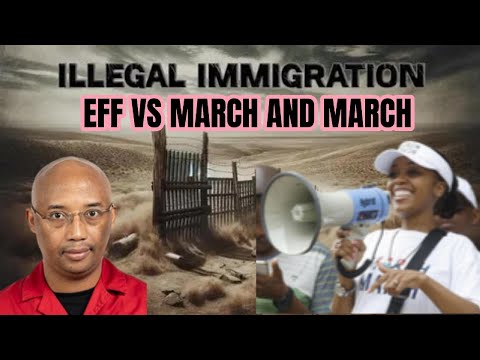JACINTA NGOBESE ZUMA GRILL COMMITTEE OF HOME AFFAIRS ON FAILING TO FIGHT ILLEGAL IMMIGRATION IN RSA