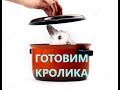 Как приготовить кролика | Тушеный кролик в сметане