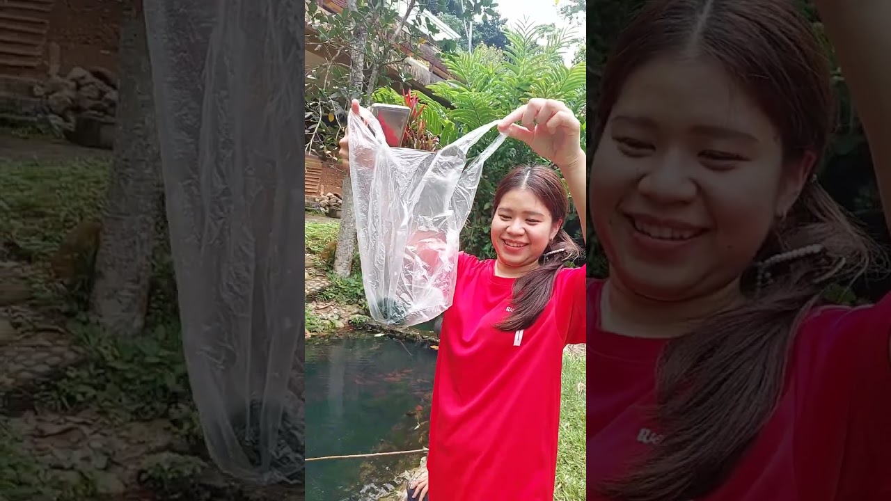 เอาเตากันมั๊ย