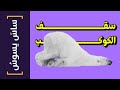 {ساس يسوس}(116) سقف الكوكب