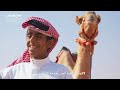 حب الهجنعلاقة لا تُفسّر وإرث لايقدّر بثمن بين شجاعة فطرية وصناعة تاريخية 🐪📜