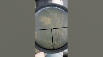 Having fun with the sks